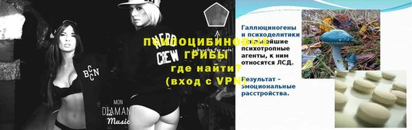 шишки Армянск