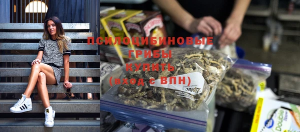 спайс Аркадак