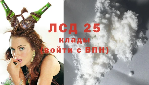 шишки Армянск