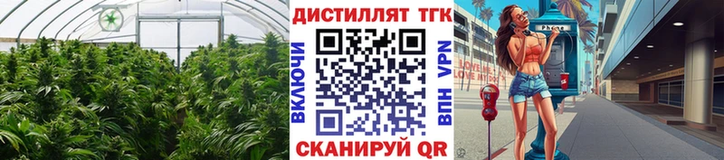 ТГК гашишное масло  Купить  Магадан 