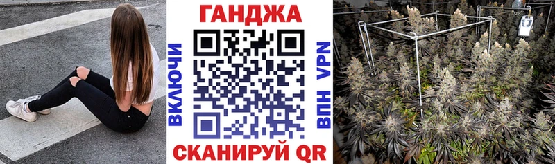 Марихуана гибрид  Купить закладки  Магадан 